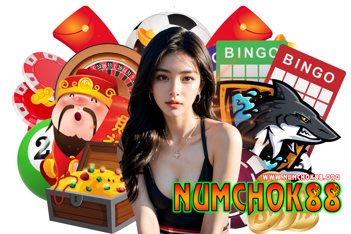 numchok88 wallet
